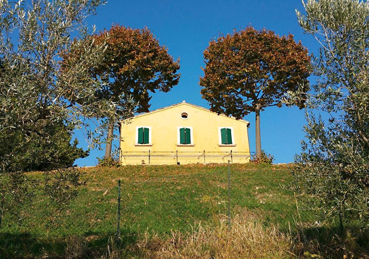 B&B Santa Caterina Acquaviva Picena Habitación foto